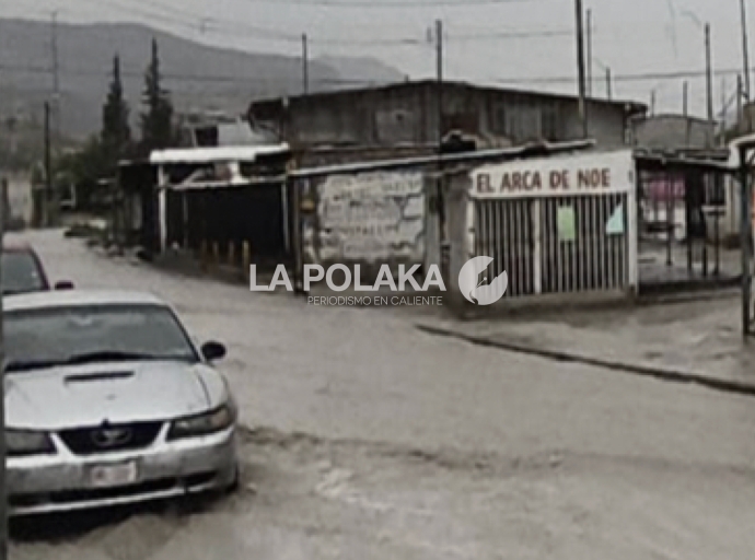 El Arca Sin Problema